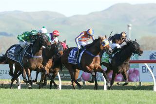 Melody Belle has now won more than $1.1 million in prize-money – almost 20 times her purchase price.